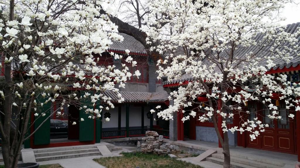Scholar Tree Courtyard Hotel Beijing Exterior photo